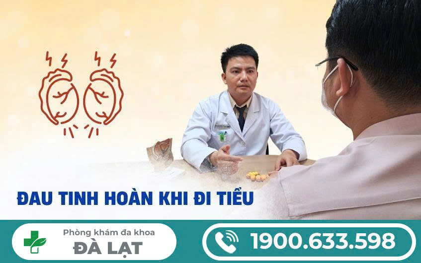 Hình ảnh minh họa